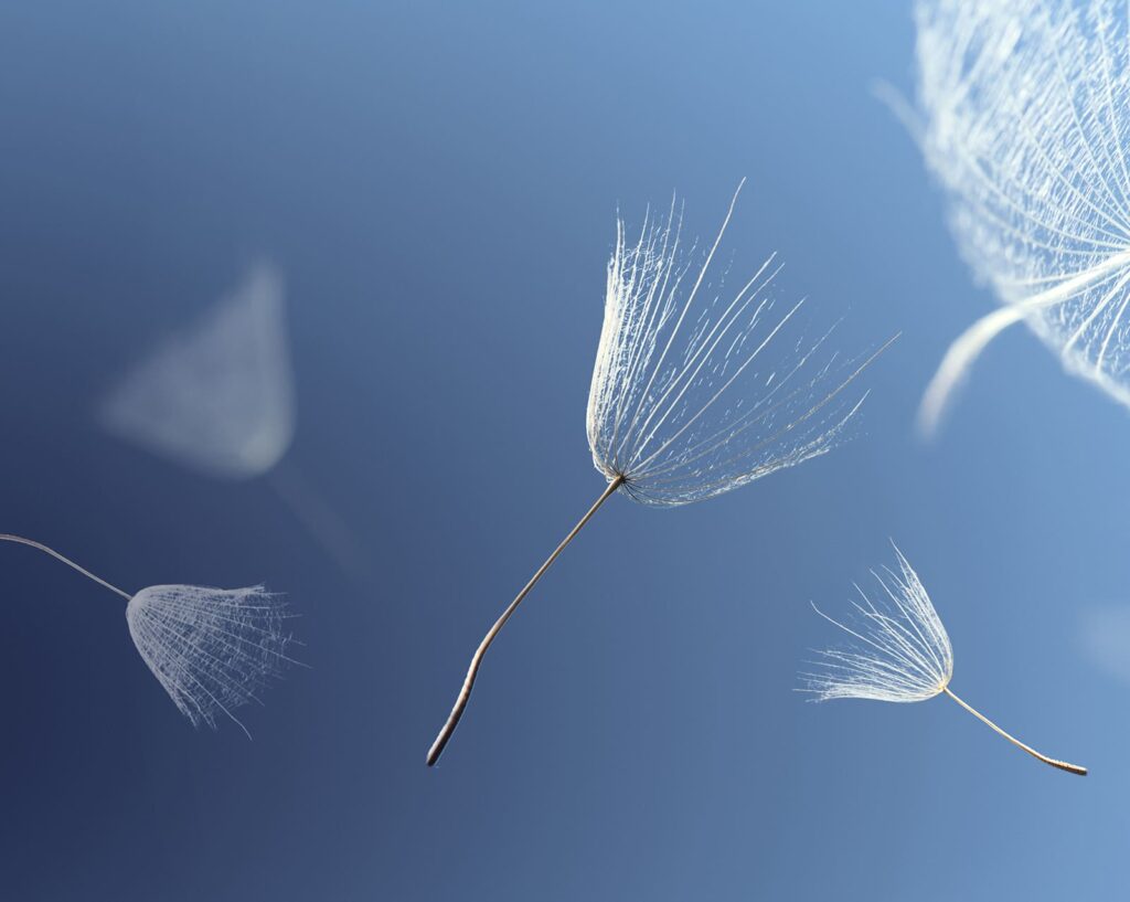 Face au deuil, quels accompagnements&nbsp;?